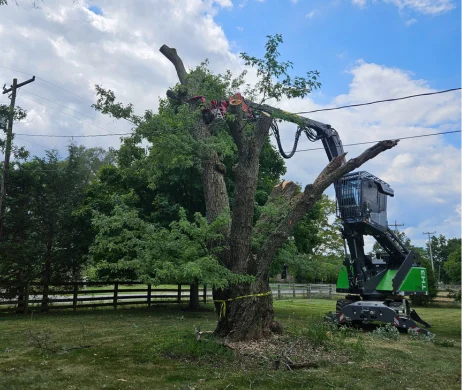 TH3 | Tree Care Handler | Green-Tec