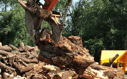 CBI Stump Shear attachment