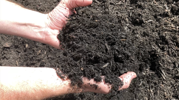 Mulch from a CBI grinder