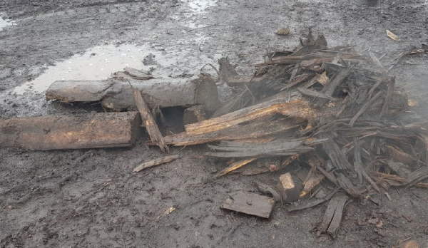 Wood Removed From Compost