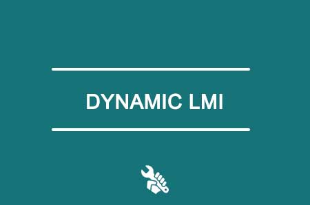 Dynamic LMI
