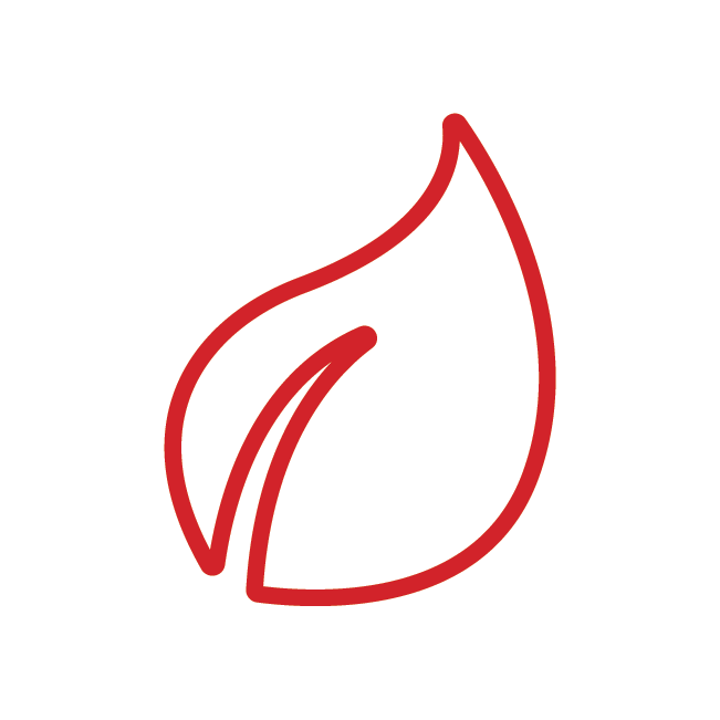 environmental considerations@300x