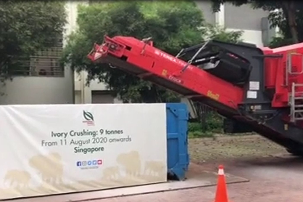 crushing ivory