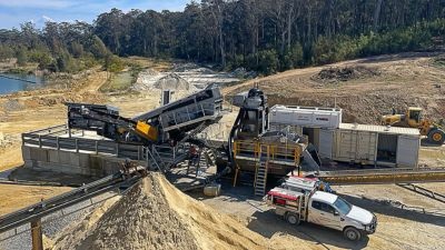 A Fair Dankim Plant - Thumbnail