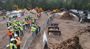 Timberstock Thumbnail (1)
