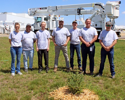 Terex Utilities employees stand by planted pine tree
