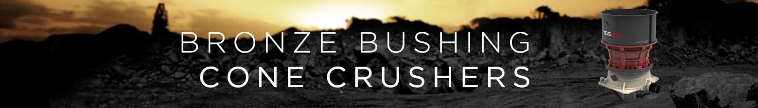 MPS_WEbsite_TGS_banner